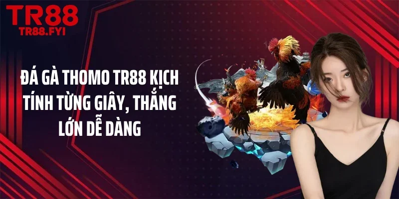 Đá Gà Thomo TR88 Kịch Tính Từng Giây, Thắng Lớn Dễ Dàng