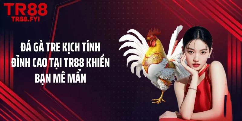 Đá Gà Tre Kịch Tính Đỉnh Cao Tại TR88 Khiến Bạn Mê Mẩn