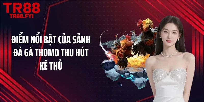 Điểm nổi bật của sảnh đá gà Thomo thu hút kê thủ
