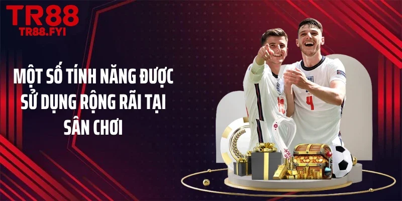 Một số tính năng được sử dụng rộng rãi tại sân chơi