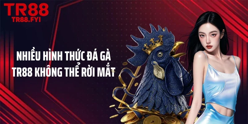 Nhiều hình thức đá gà TR88 không thể rời mắt