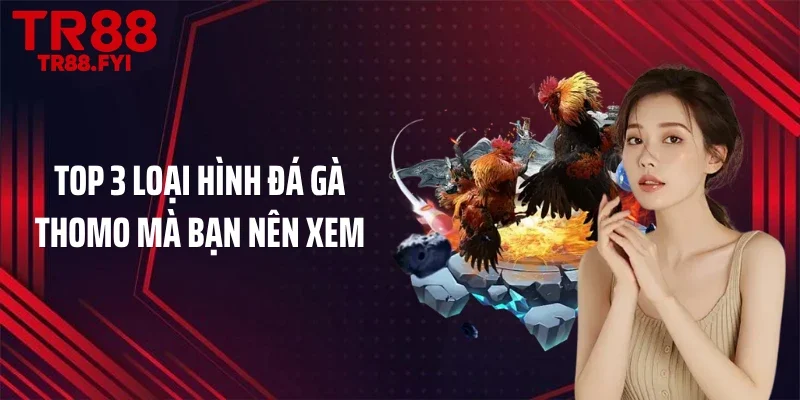 Top 3 loại hình đá gà Thomo mà bạn nên xem